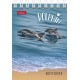 Блокнот "Hatber", 40л, А7, клетка, обложка мелованный картон, на гребне, серия "Подводный мир"