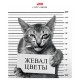 Тетрадь "Hatber", 96л, А5, клетка, на скобе, серия "Кот-обормот"