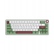 Клавиатура USB, Royal Kludge R65, KeyBoard mechanical, Brown switch, 66 keys, cable, Green sand