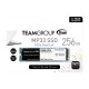 Твердотельный накопитель SSD 256GB SSD TeamGroup MP33 M.2 NVMe R1600Mb/s W1300MB/s TM8FP6256G0C101